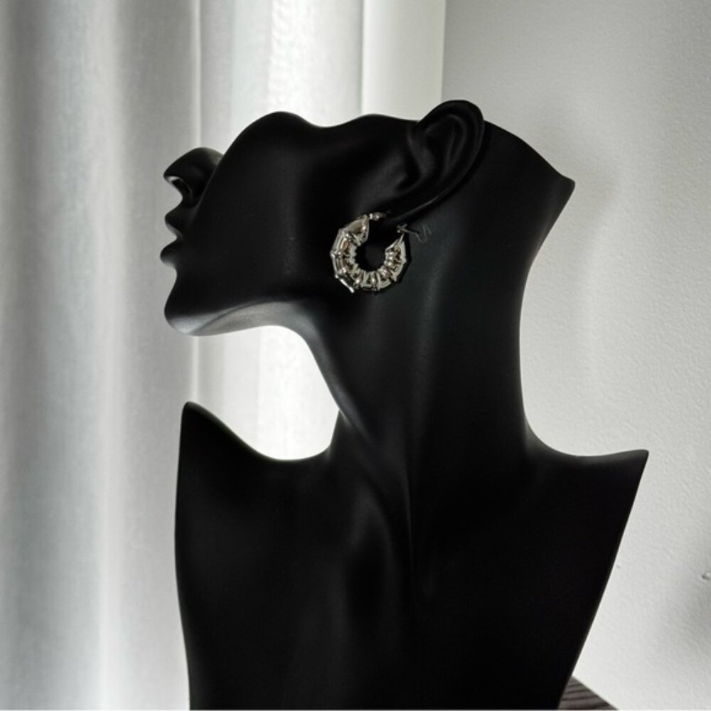 ✨Chic Silver Hoop Earrings Hypoallergenic
